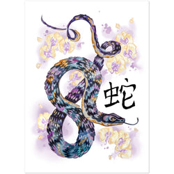 Premium Matte Paper Poster- chinese horoscope snake