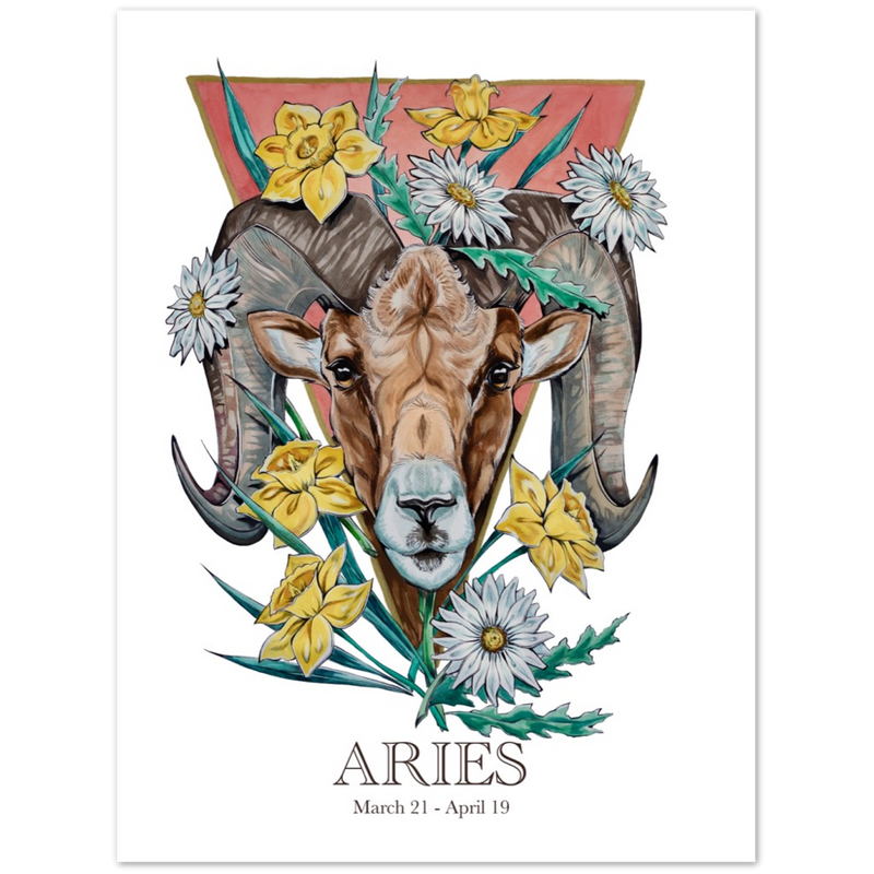 Classic Matte Paper Poster- Aries