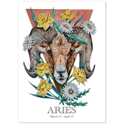 Classic Matte Paper Poster- Aries